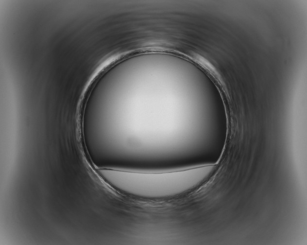 X0000087361384200704200816