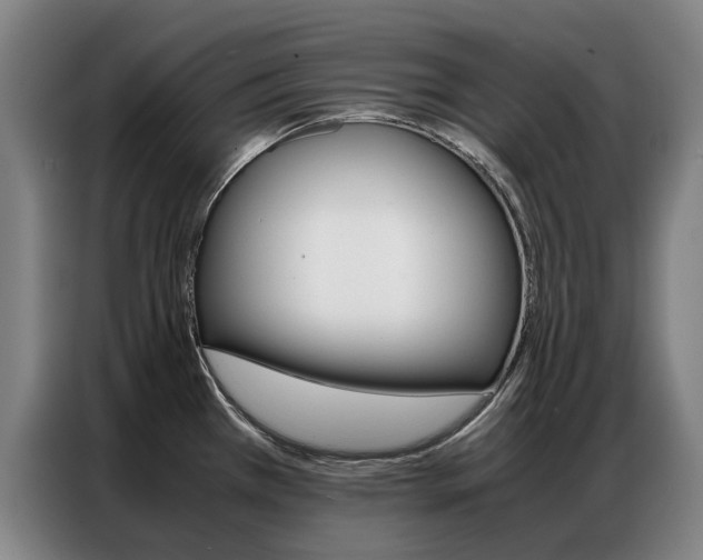 X0000087361385200704200816