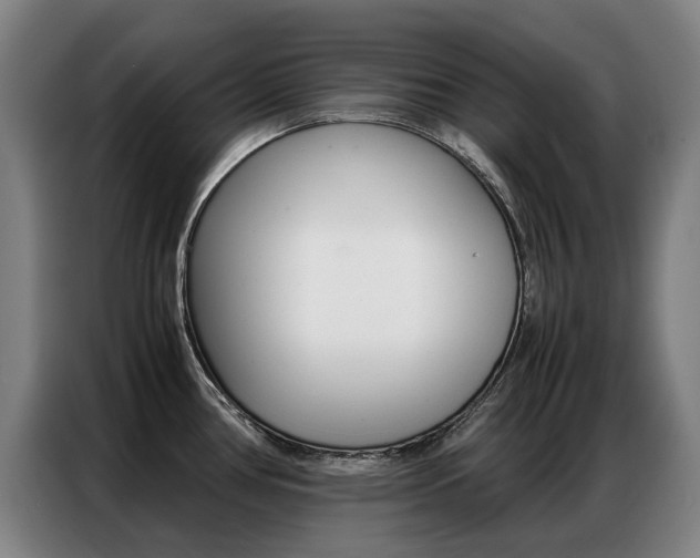 X0000087361386200704200816