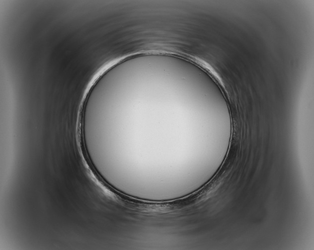 X0000087361387200704200816