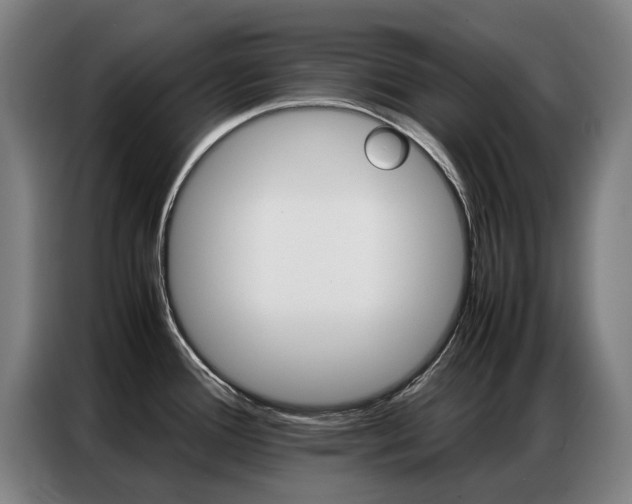 X0000087361388200704200816