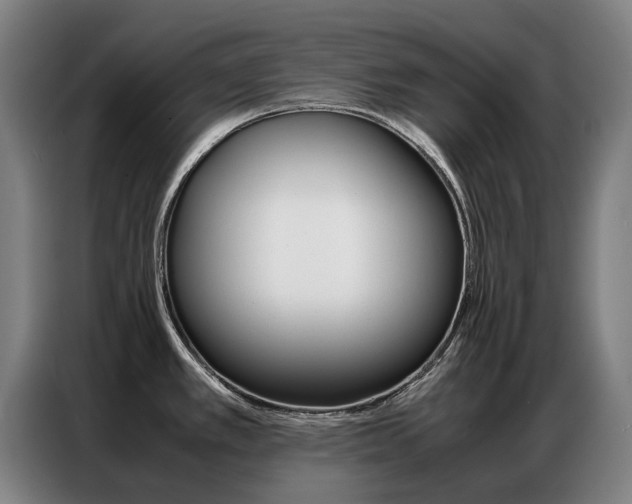 X0000087361389200704200816