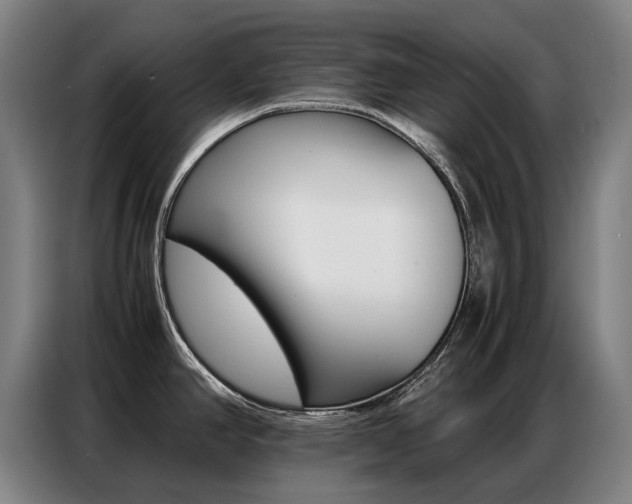 X0000087361390200704200816