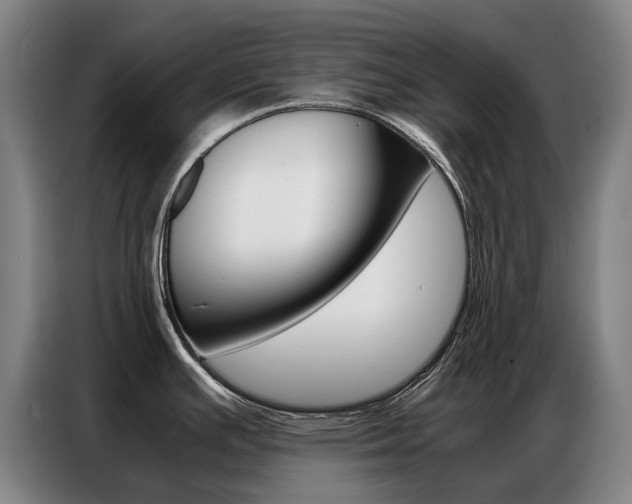 X0000087361391200704200816