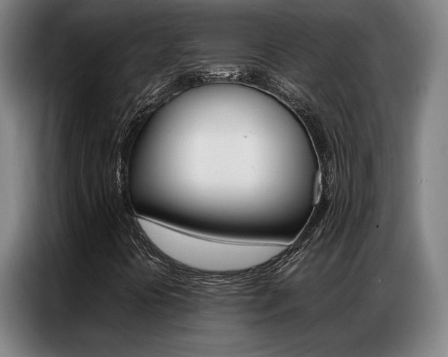 X0000087361394200704200816