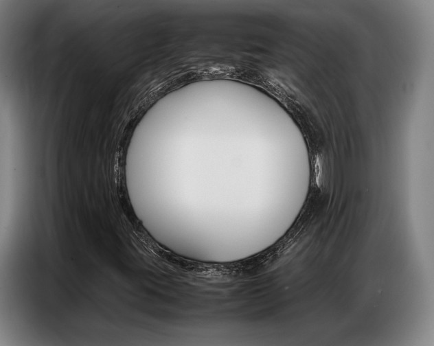 X0000087361395200704200816
