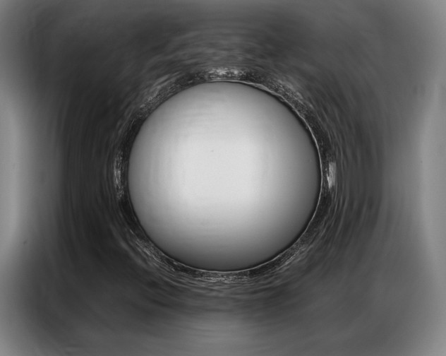 X0000087361396200704200816
