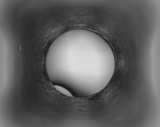X0000087361397200704200816