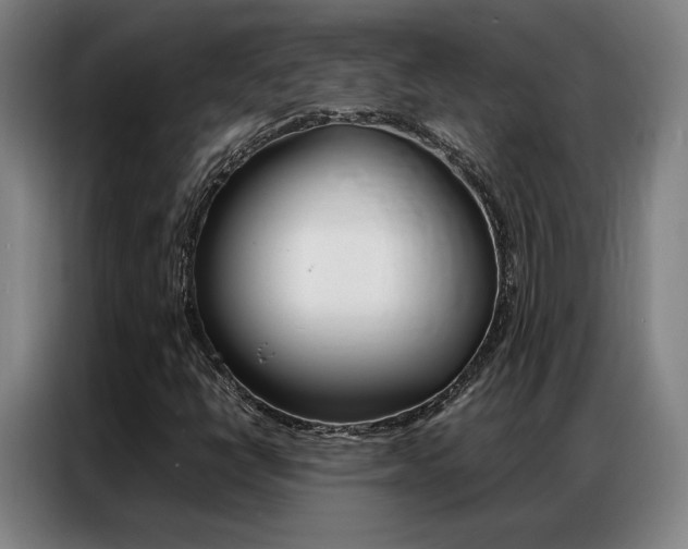X0000087361398200704200816