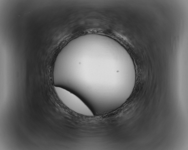 X0000087361399200704200816
