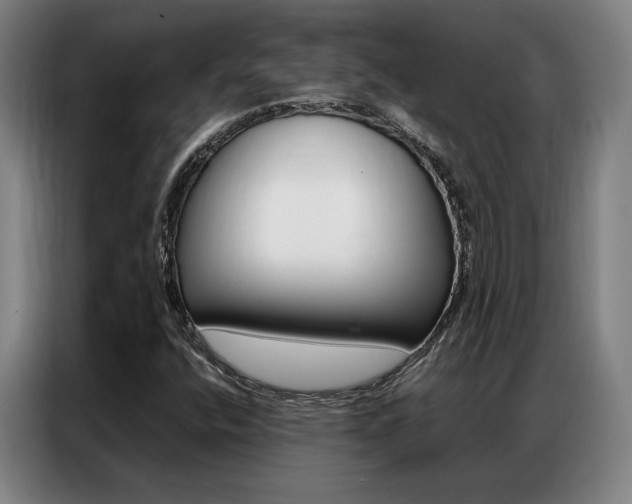 X0000087361400200704200816