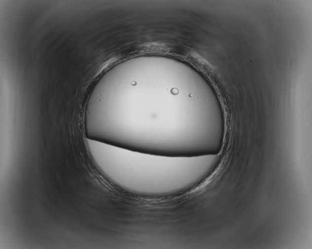 X0000087361401200704200816