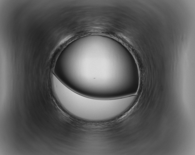 X0000087361402200704200816
