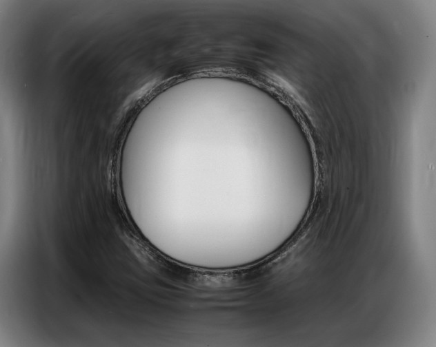 X0000087361403200704200816