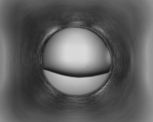 X0000087361405200704200816