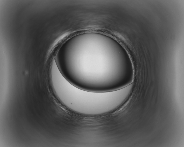 X0000087361406200704200816
