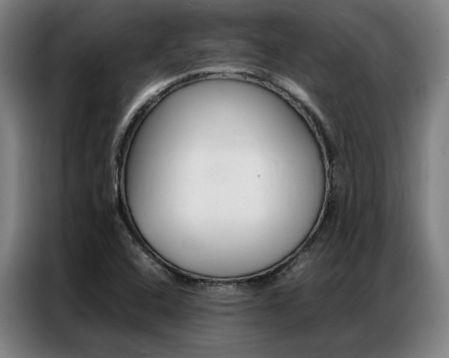X0000087361408200704200816