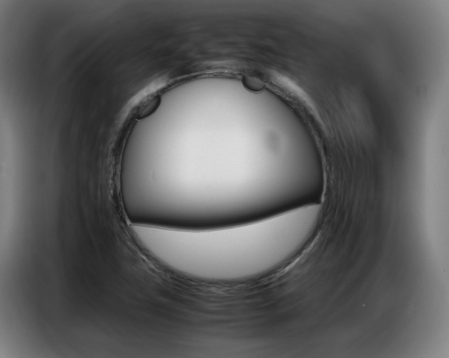 X0000087361411200704200816