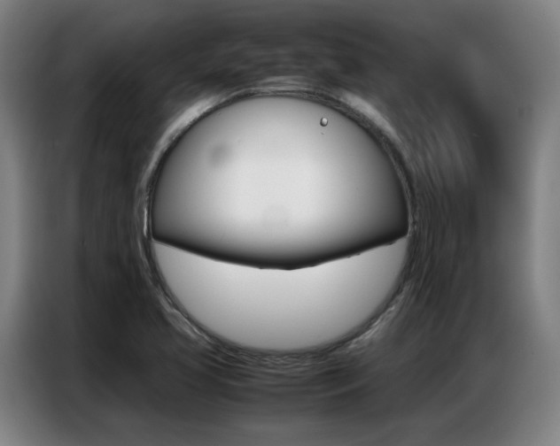X0000087361413200704200816