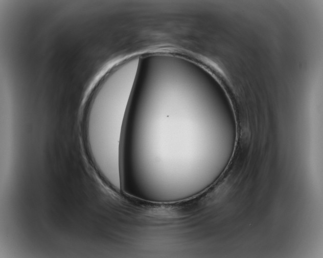 X0000087361414200704200816
