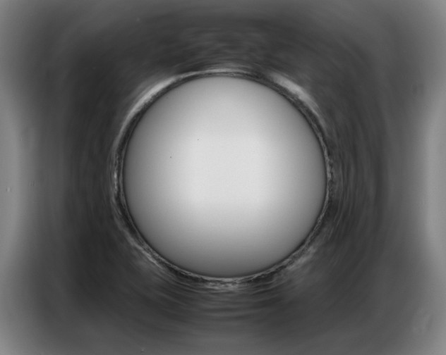X0000087361415200704200816