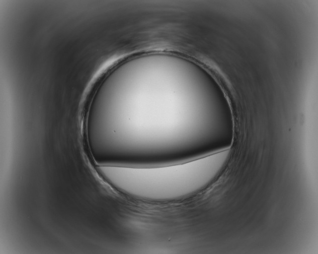 X0000087361416200704200816