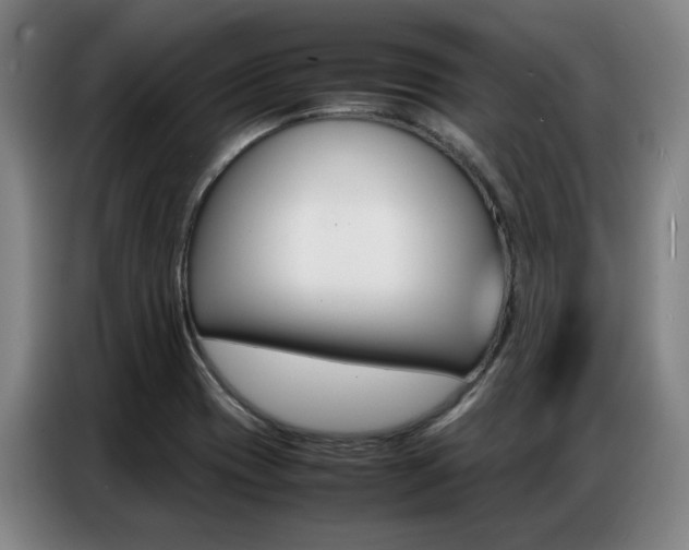 X0000087361417200704200816