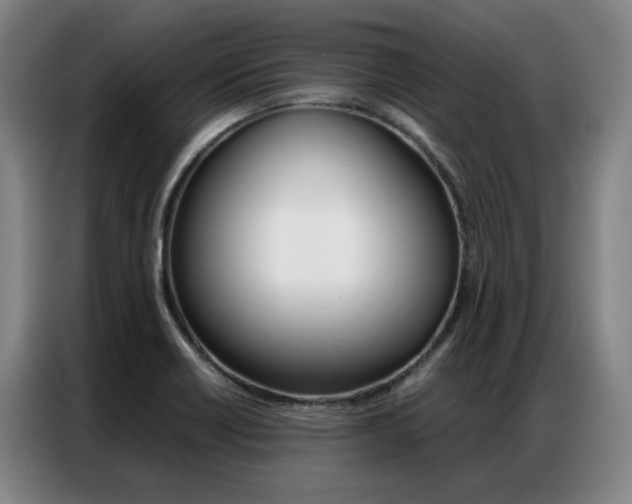 X0000087361418200704200816