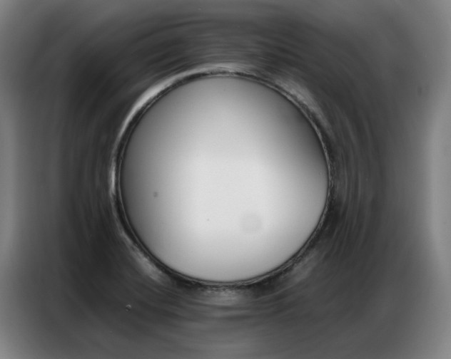 X0000087361420200704200816