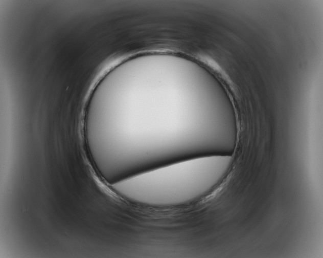 X0000087361421200704200816
