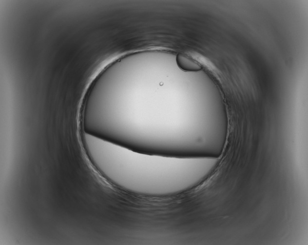 X0000087361423200704200816