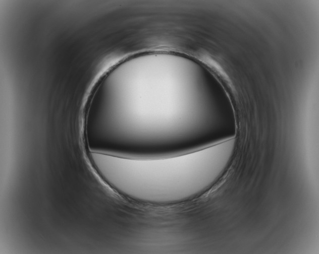 X0000087361424200704200816