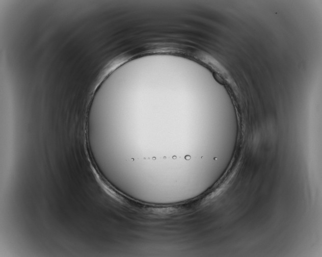 X0000087361425200704200816