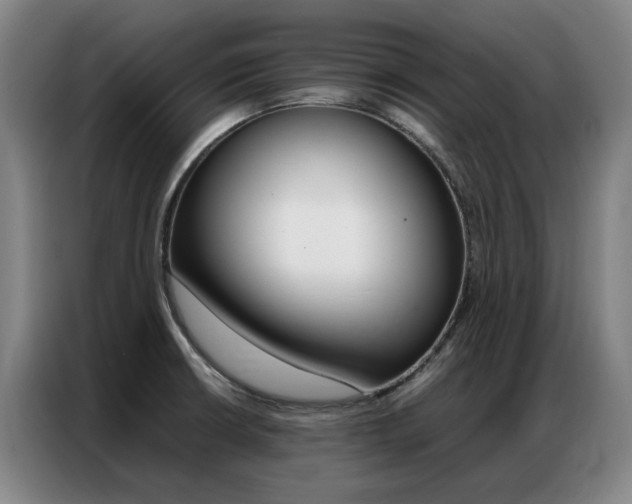 X0000087361426200704200816