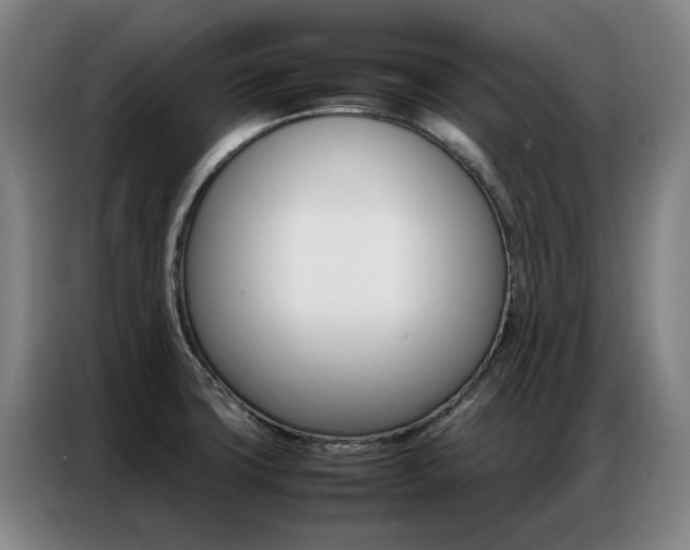 X0000087361427200704200816