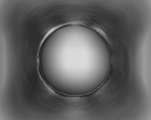 X0000087361428200704200816
