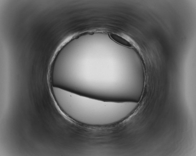 X0000087361429200704200816