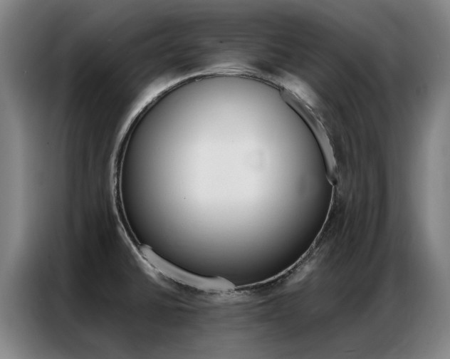 X0000087361430200704200816