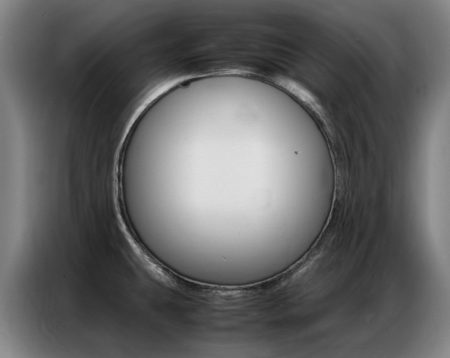 X0000087361431200704200816