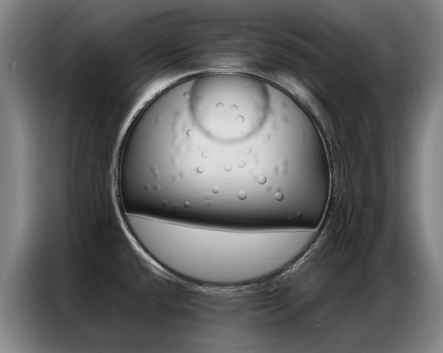 X0000087361432200704200816