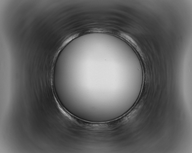 X0000087361433200704200816