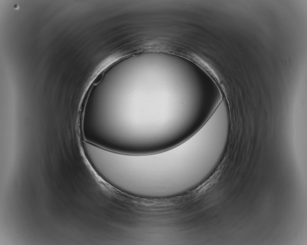 X0000087361434200704200816
