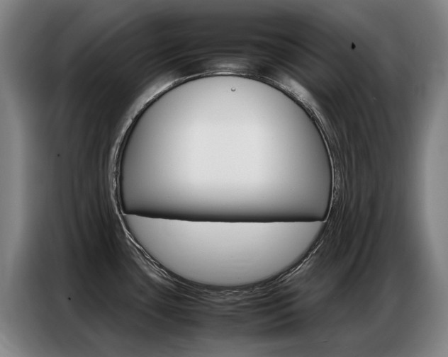 X0000087361435200704200816