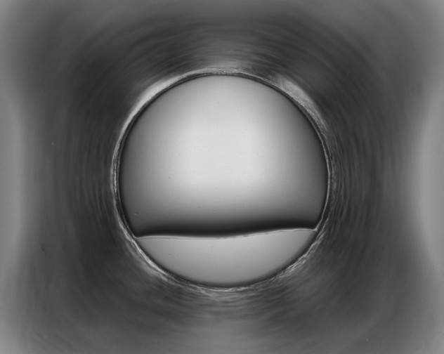 X0000087361436200704200816