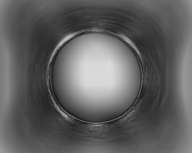 X0000087361437200704200816