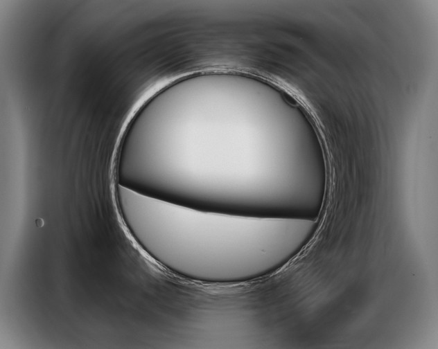 X0000087361440200704200816