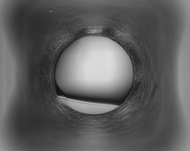 X0000087361441200704200816