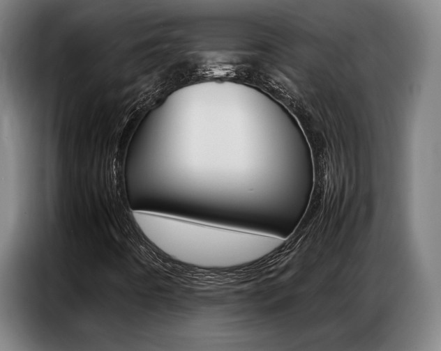X0000087361442200704200816