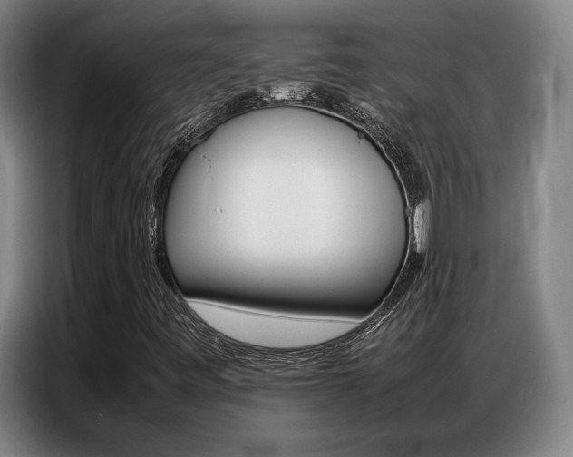 X0000087361443200704200816