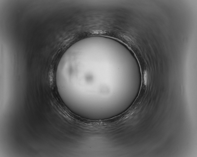 X0000087361444200704200816